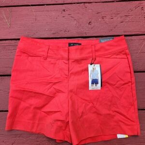 The Limited Shorts